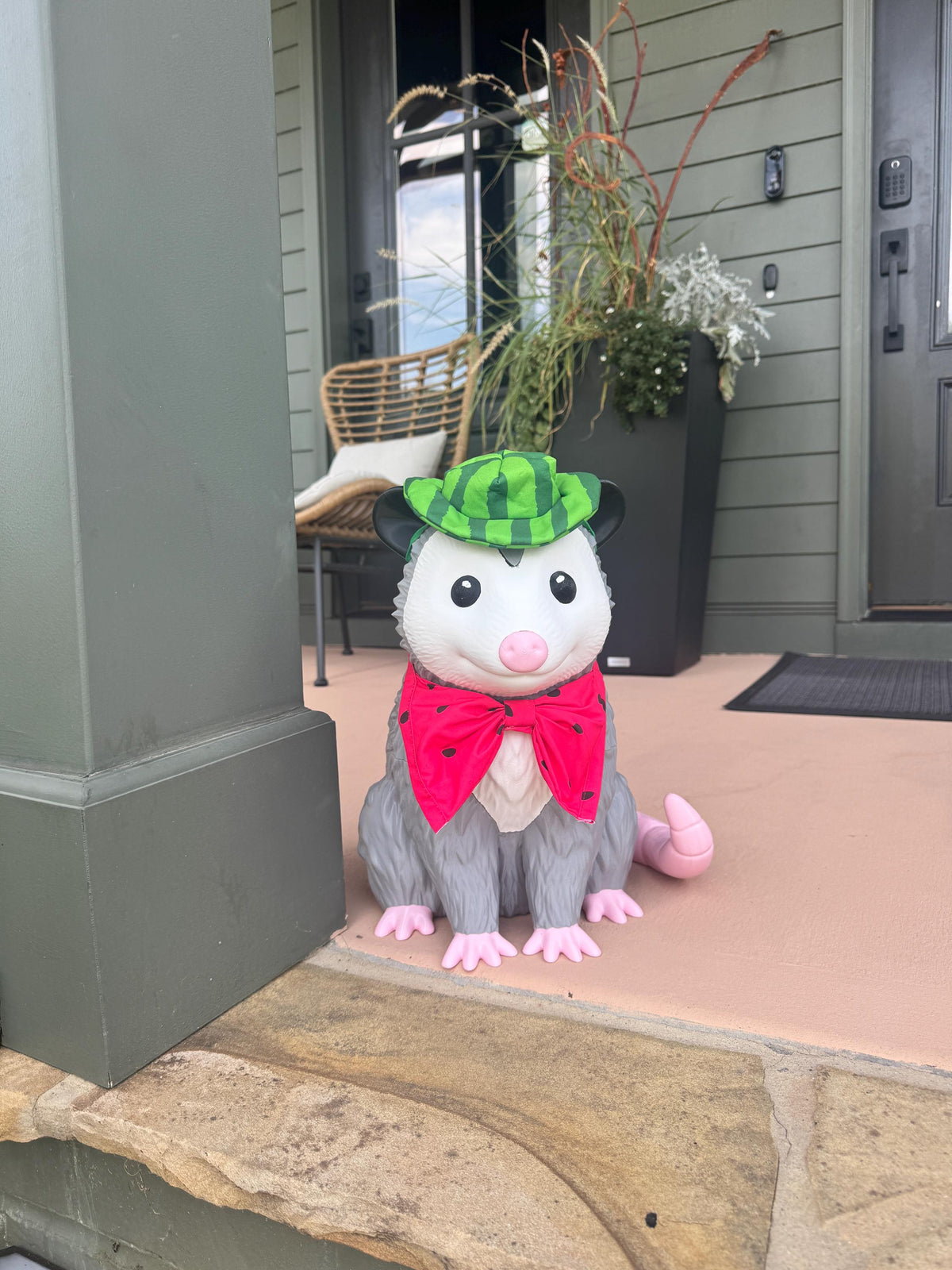 The Original Porch Possum