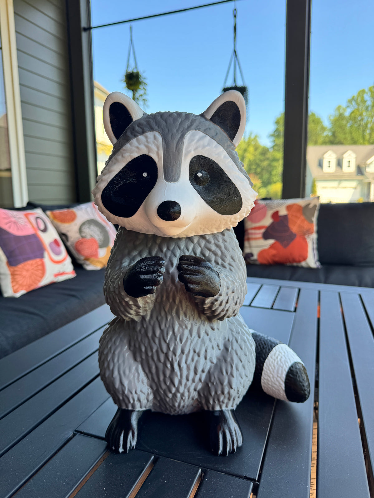 *Misfit* Rosie the Raccoon