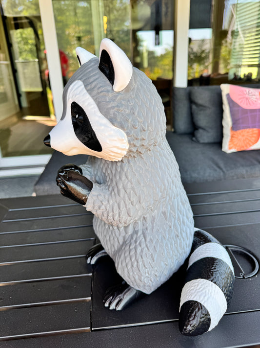 *Misfit* Rosie the Raccoon