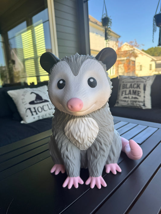 *Misfit* Porch Possum