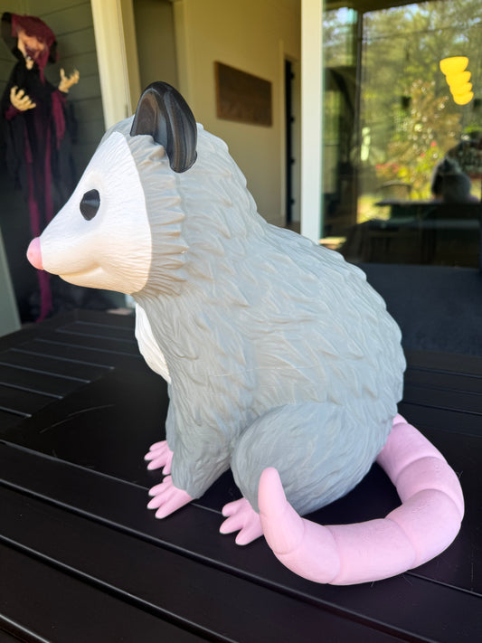 *Misfit* Porch Possum