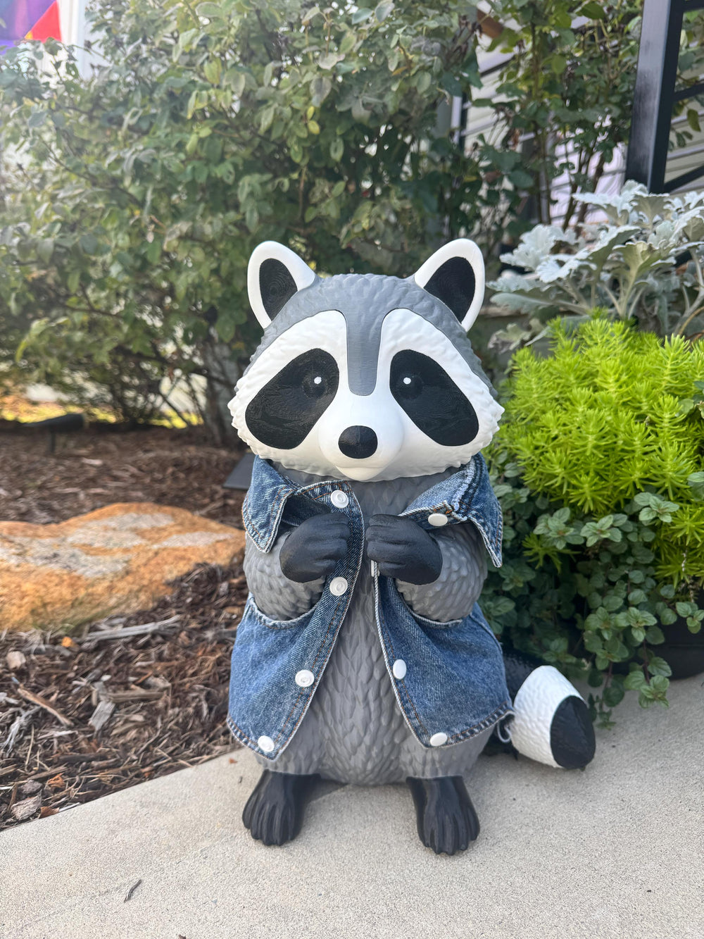 Rosie the Porch Raccoon